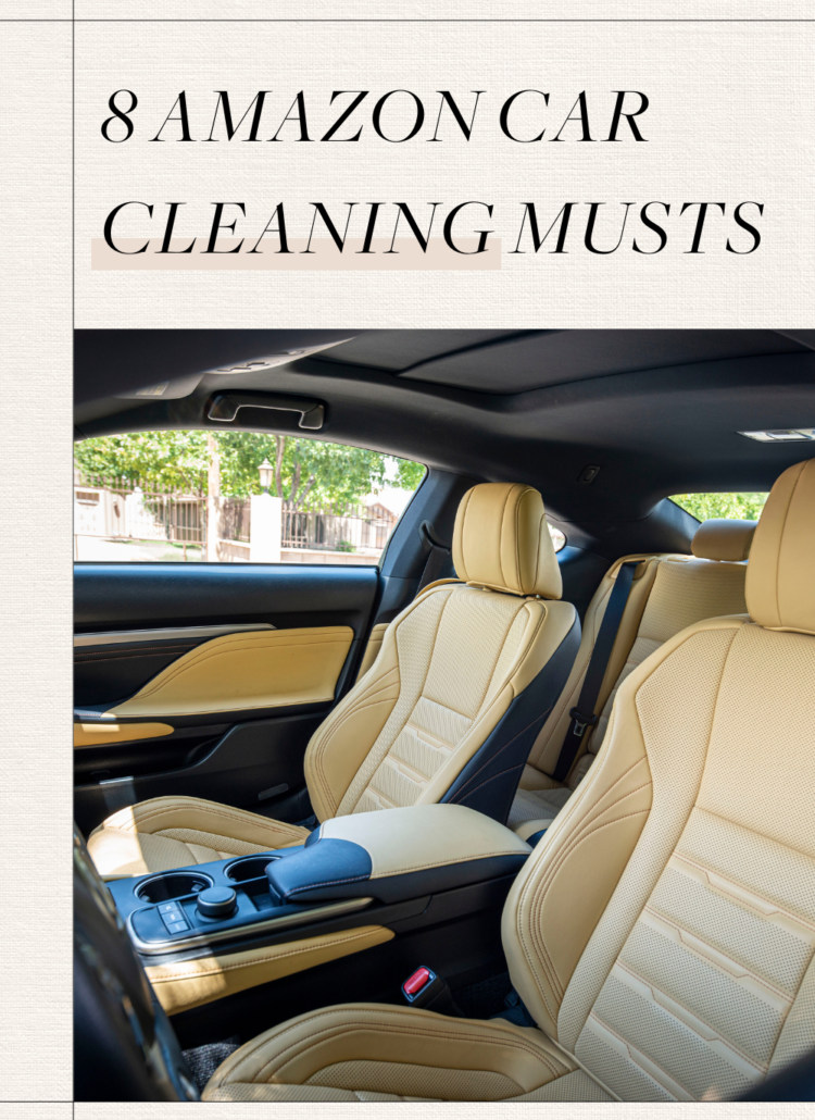 car cleaning supplies