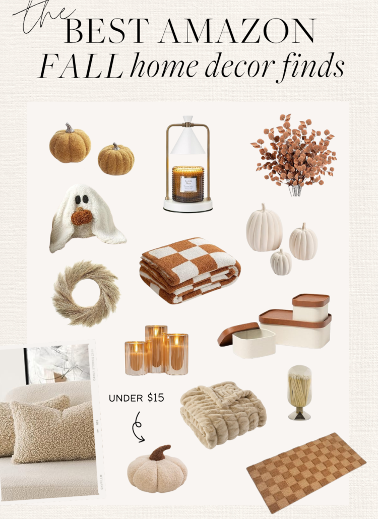 amazon fall decor finds