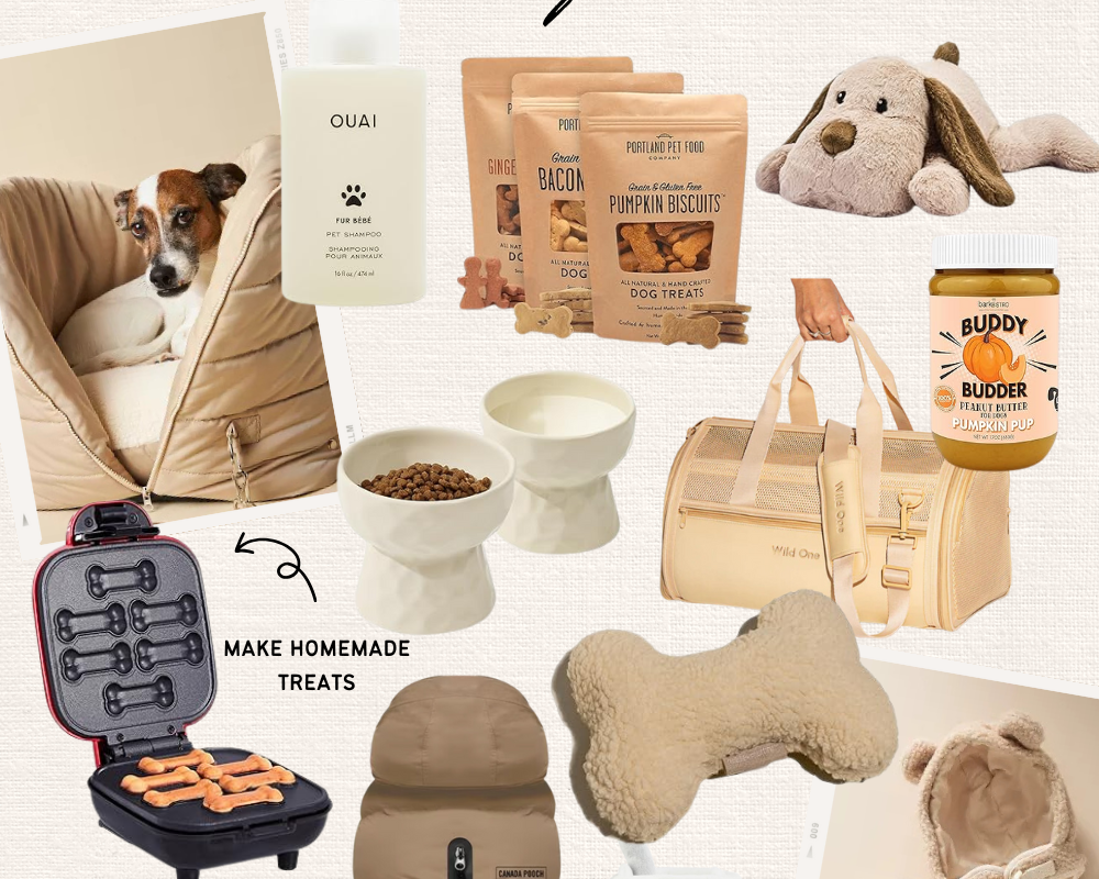 GIFT IDEAS FOR PET