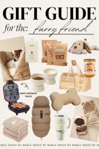 GIFT IDEAS FOR PET