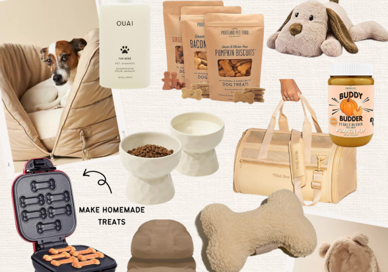 GIFT IDEAS FOR PET